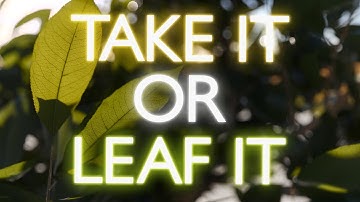 Materials Ep4: Plants - The Power Of Translucency | All 3D Software