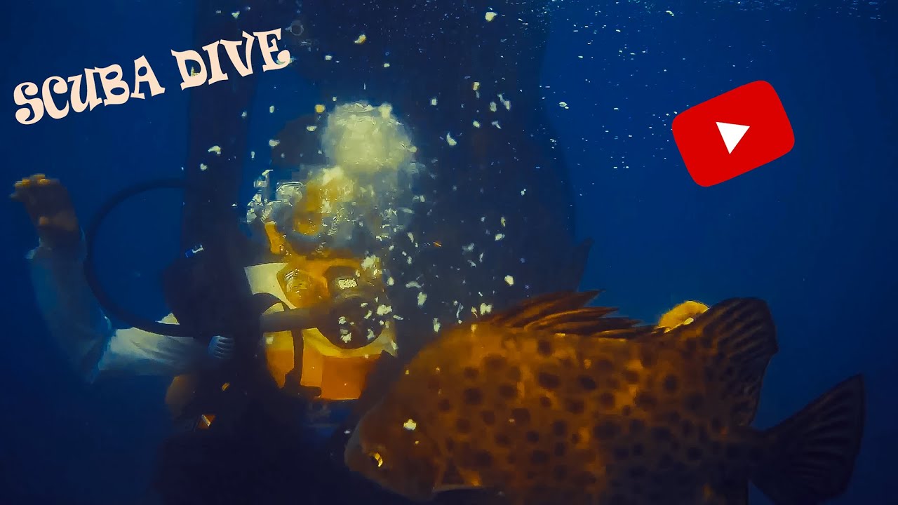 Scuba Diving in Malvan Sindhudurg Fort Beach Watersport Sunset View