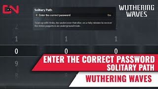 Enter the Correct Password Wuthering Waves