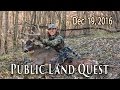 Public Land DIY Trophy - Buck Bedding Areas | Midwest Whitetail