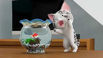 Chi S Sweet Adventure All Episodes Youtube