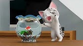 Chi S Sweet Adventure All Episodes Youtube