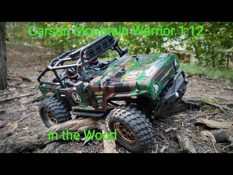 Carson Mountain Warrior