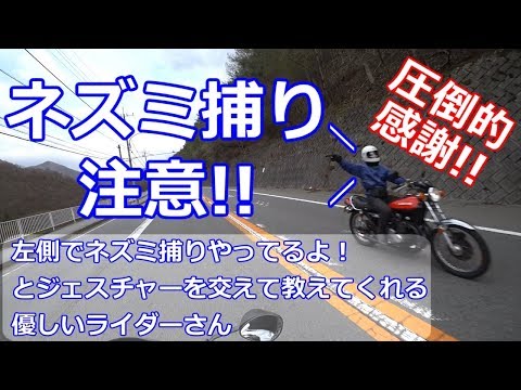 ネズミ捕りをジェスチャーとパッシングで教えてくれるライダー＆ドライバー