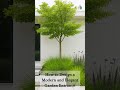 Natural Garden Design That Feels Calm and Effortless