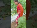 #मालकीन झाली #नोकरीन #PoonamTai rocks #Part16