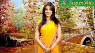 Milte Milte Haseen Wadiyon Mein (( Jhankar )) HD Songs