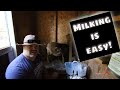 How to Milk a Nigerian Dwarf Goat