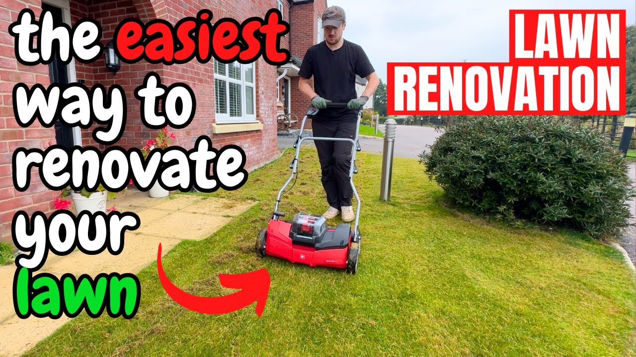 A Simple LAWN RENOVATION Guide - An Easy Approach to Lawn Care