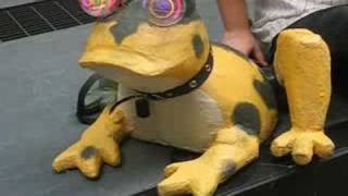 Dragon*Con 2008 - The Hypnotoad