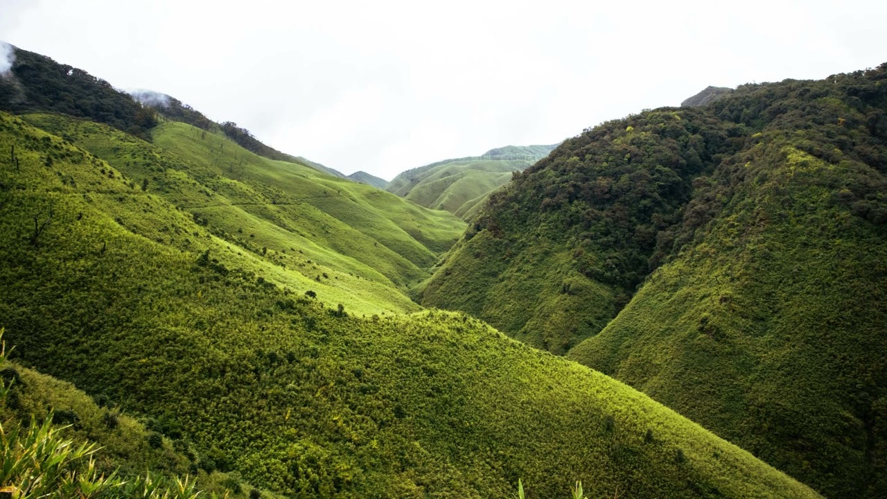 De Jehová es la Tierra | Salmo 24 Cantado | Adoración Reverente y Llena de Gozo