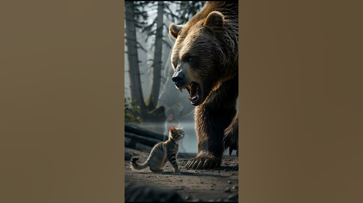 ''The Bear and the Clever Cat'' #ai #animationvideo #motupatlu #india #usa #animationvideo #cat #cat