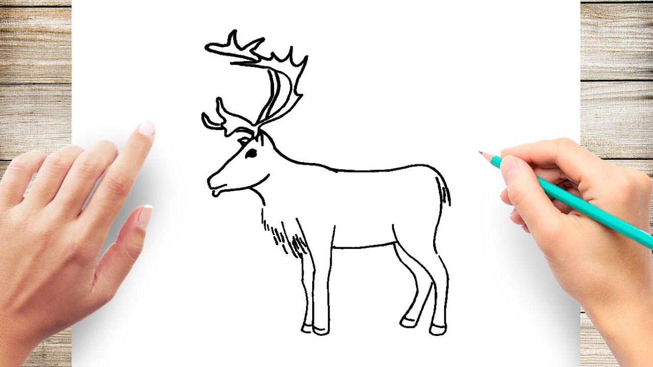 How to Draw a Reindeer Face  Really Easy Drawing Tutorial