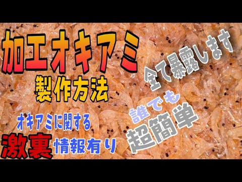 自作加工オキアミ 凍らず腐らず身崩れしない最強のハード加工オキアミ作成手順 カゴ釣り フカセ釣り 紀州釣り 穴釣り Youtube