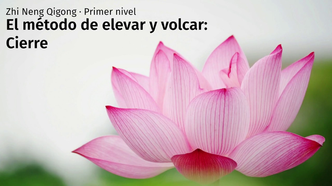 Practica - El Metodo de Elevar y Volcar - 08. Cierre qiyana