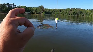 TIPS WHERE TO FIND Post Spawn SLAB CRAPPIE In MAY‼️ | CRAPPIE Fishing 2023‼️