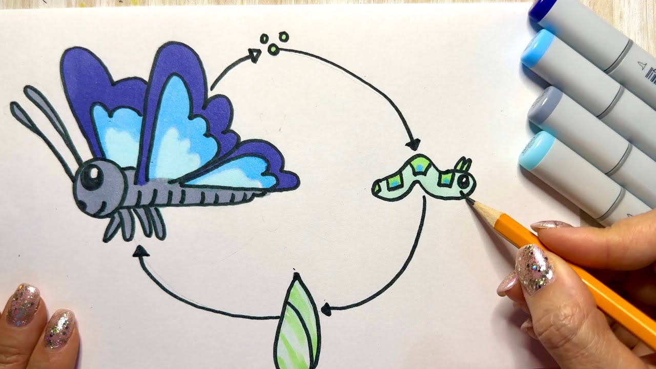 How to draw a Butterfly Bluey episode Slide YouTube