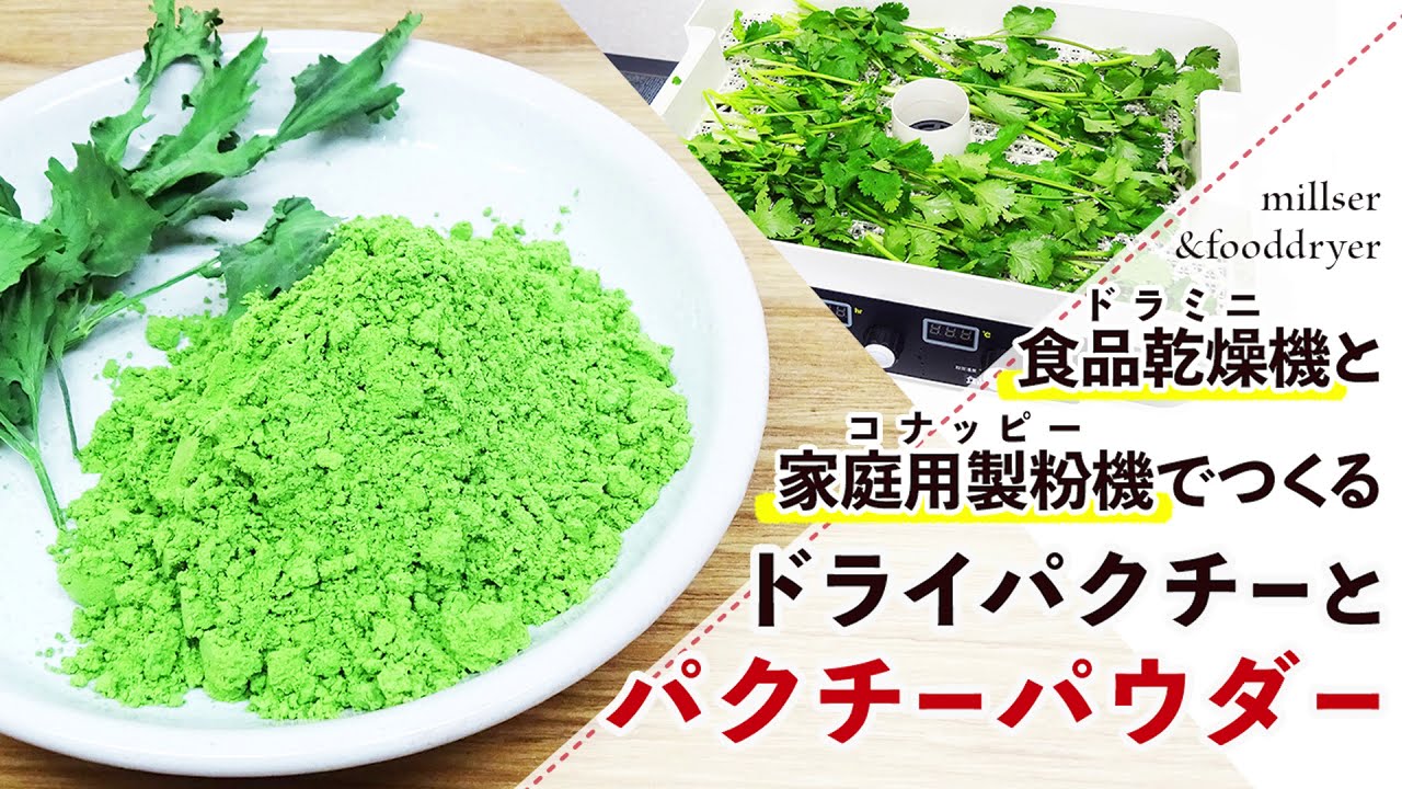 ドライハーブ ドライパクチー パクチーパウダーの作り方 ハーブパウダー Youtube