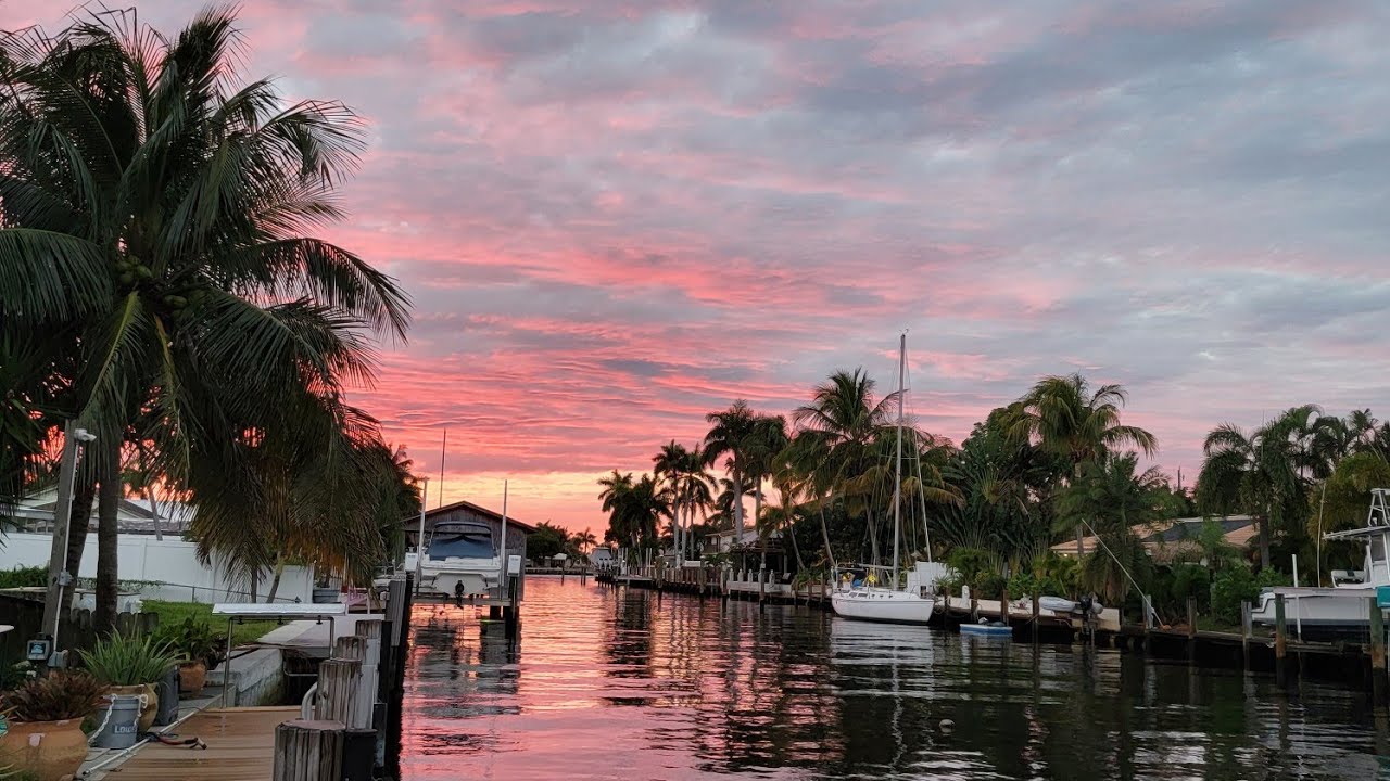 Flip my Florida Yard Application LBTS YouTube