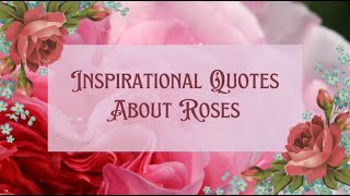 🌹Luangkan waktu untuk mencium bunga mawar || Kutipan Inspirasional Tentang Mawar🌹