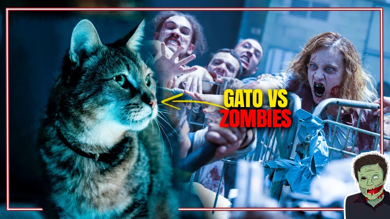 UN GATO EN UN APOCALIPSIS ZOMBIE