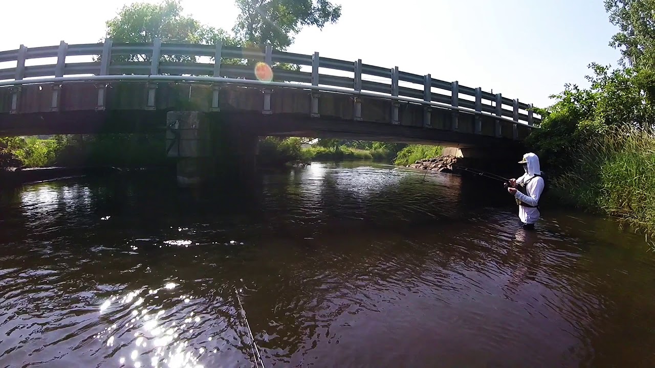 Kalamazoo River Wading Trip Homer Michigan YouTube