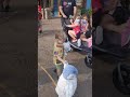 Disney cast member kidnapped my child with a penguin