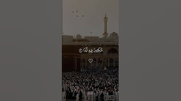 لا تنسوا قراءه سوره الكهف يوم الجمعه 💙#فارس_عباد #quran #alaa_mustafa_1 #قران #يوم_الجمعه