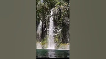 سورة غافر (الآية 26)