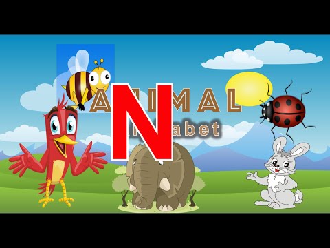 N Animal Alphabet | Learning animals name start with a letter N, A to Z pre-k education, toddlers