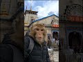 Kedarnath temple me #ai #funny #trending #viral #aivideos #youtubeshorts #funnyanimals