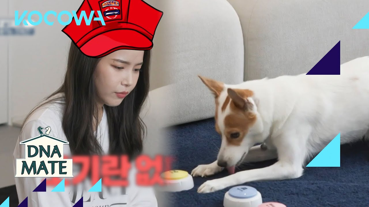 Is Solar's puppy, Yongkeey, a genius?! ... or Naw 😜l DNA Mate Ep 38 [ENG SUB]