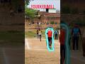 #new#cricket yorker animated shorts video 🏏🏏