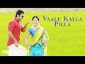 Courier Boy Kalyan - Vaalu Kalla Pilla Song | Nitiin, Yami Gautam