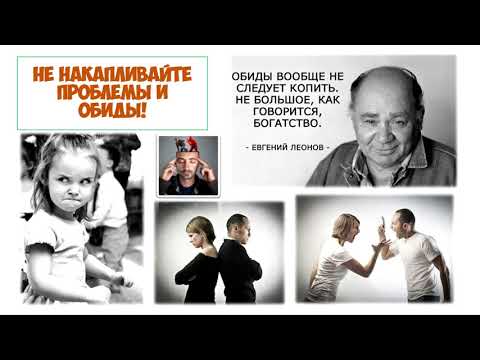 Как избежать конфликтов правила 5 мудростей