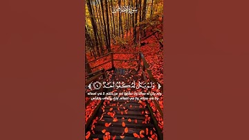سورة الاخلاص #quran لتعليم الاطفال #اكسبلور استمع لـ  #ward_of_God