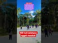 Volly bangkit lagi #fypyoutube #fypviral #sorotan #vollyballputri #volleyball