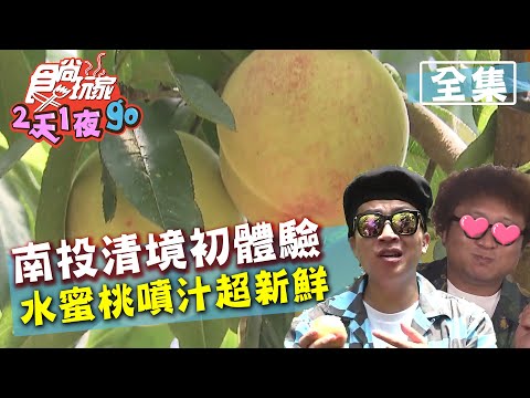 食尚玩家2天1夜go【南投】採水蜜桃初體驗 一咬下去就噴水超新鮮 20200812 (完整版) 納豆.張立東