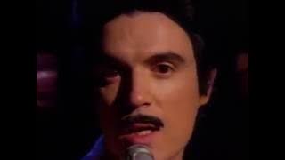Talking Heads - Wild Wild Life