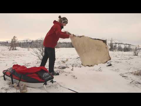 Video: Dör Loppor På Vintern? - Artikel Och Video