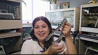 Snake Behavior: Innate and Learned