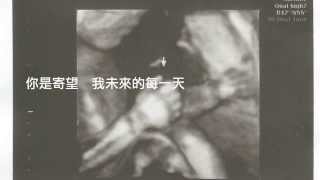 魏士翔-寶寶歌