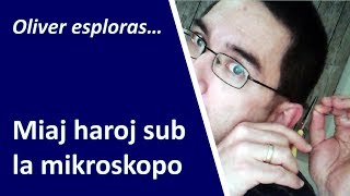 11 filmoj de Oliver rakontas