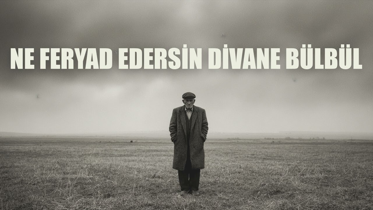 Ne Feryad Edersin Divane Bülbül (En Sevilen Türküler) | Etnomix Music