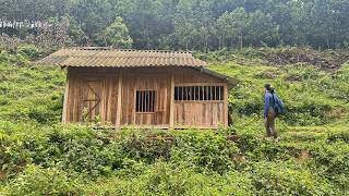 Young female CEO, after going bankrupt, returned hometown to renovate her old house start new life.