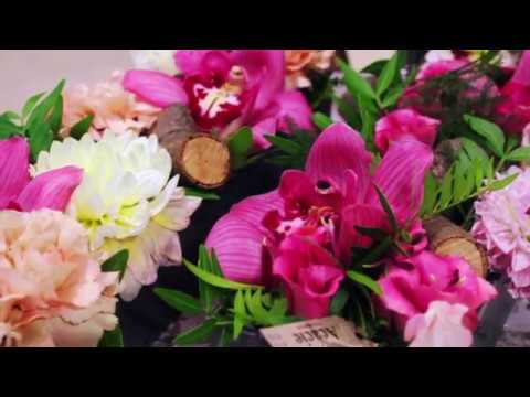 acacie blomster acacie blomster