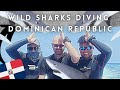 Wild SHARKS DIVING in Dominican Republic 🇩🇴🦈 #2021 #Sharks #DominicanRepublic