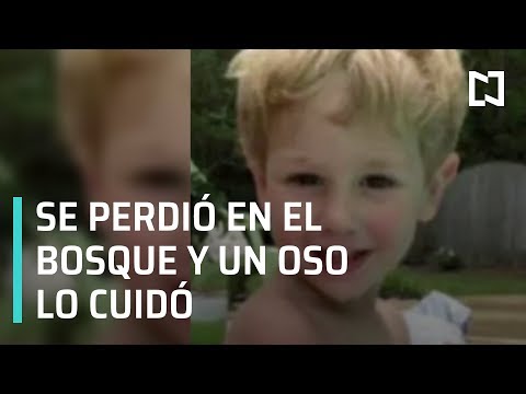 Vídeo: El Niño Perdido En El Bosque Caminó Durante Dos Días Con Un Oso - Vista Alternativa