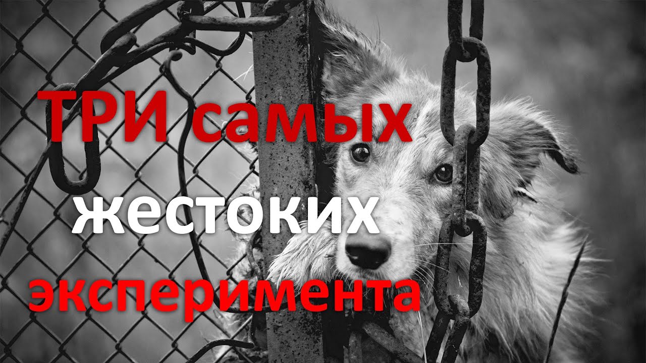 Извращенцы никогда не отвергают эксперименты с долгое мочеиспускание и прочими забавами