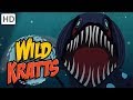 🦈🦑Wild Kratts - Ocean Explorers | Kids Videos